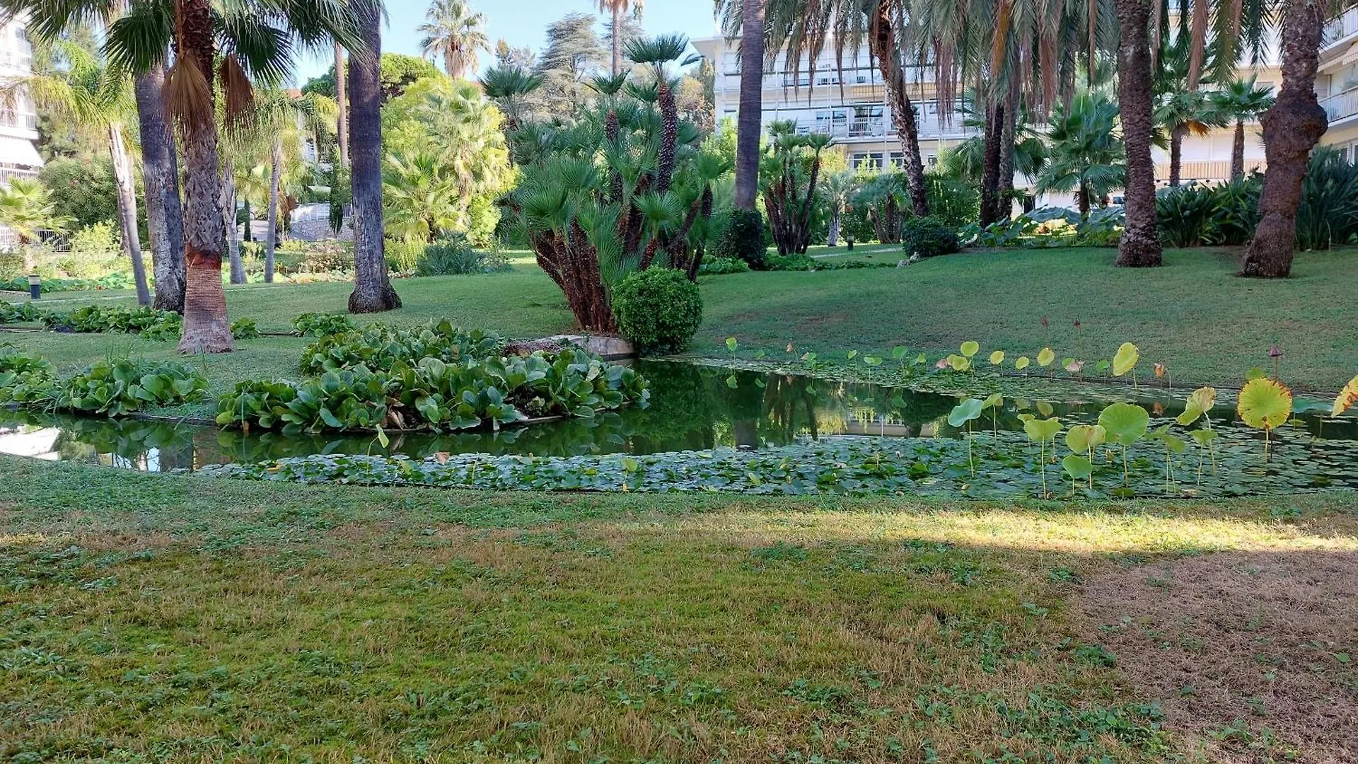 Studio Montrose Cannes - Axelle Loc'Appart Apartment
